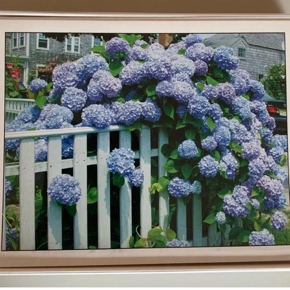 4 BOXES of 8 NANTUCKET Blank Note Cards- -2 of each print shown w/ envelopes - Picture 3 of 7